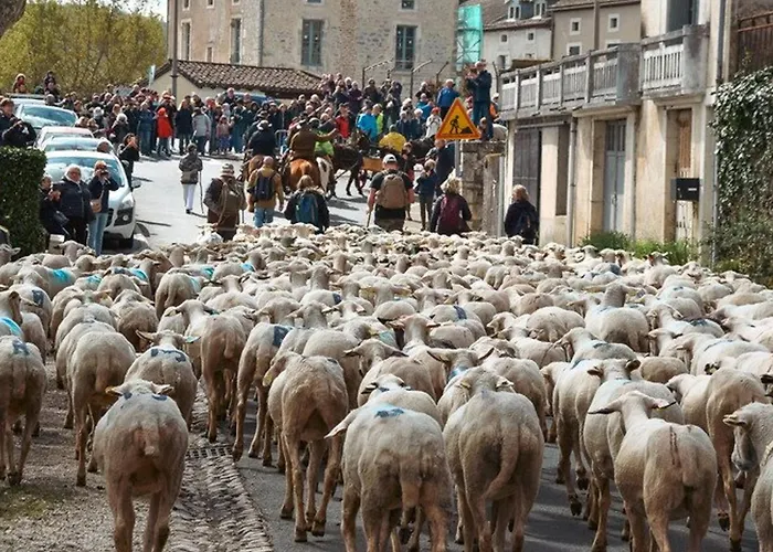Maison En Bastide, Animaux Admis - 5 Pers. - Fr-1-828-16 Montfaucon (Lot)